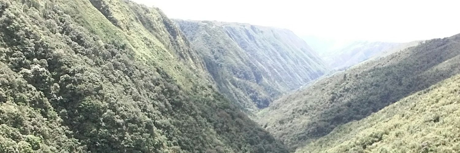 PintuKumarRay1's profile banner image