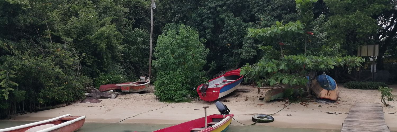 Luke Buchanan banner