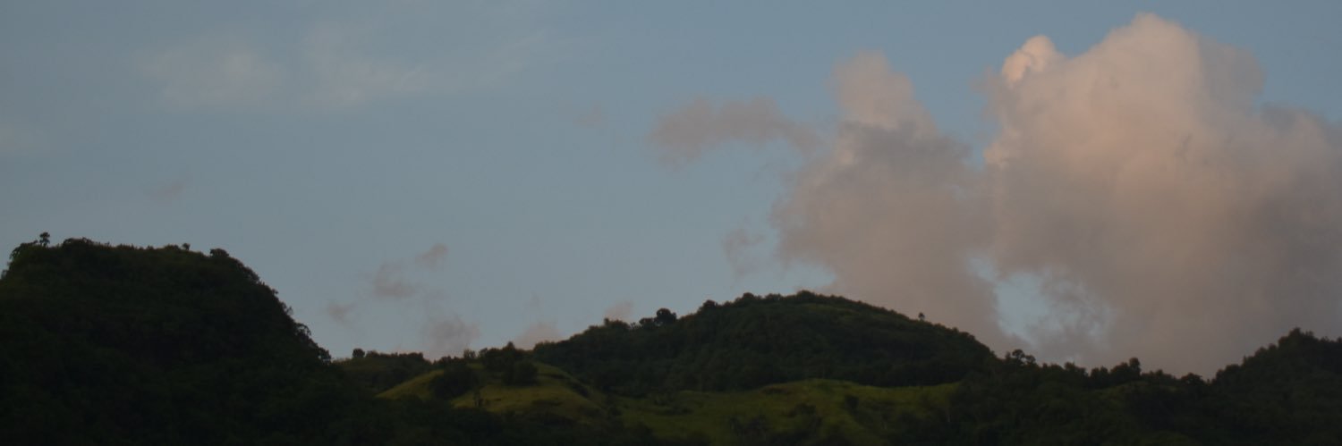 bcasey_'s profile banner image