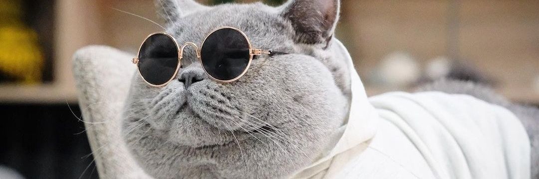 ciaowski's profile banner image