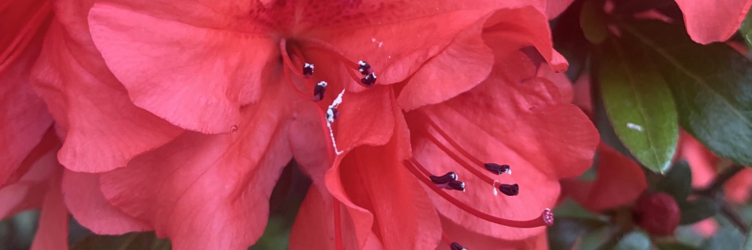 reece_frei's profile banner image