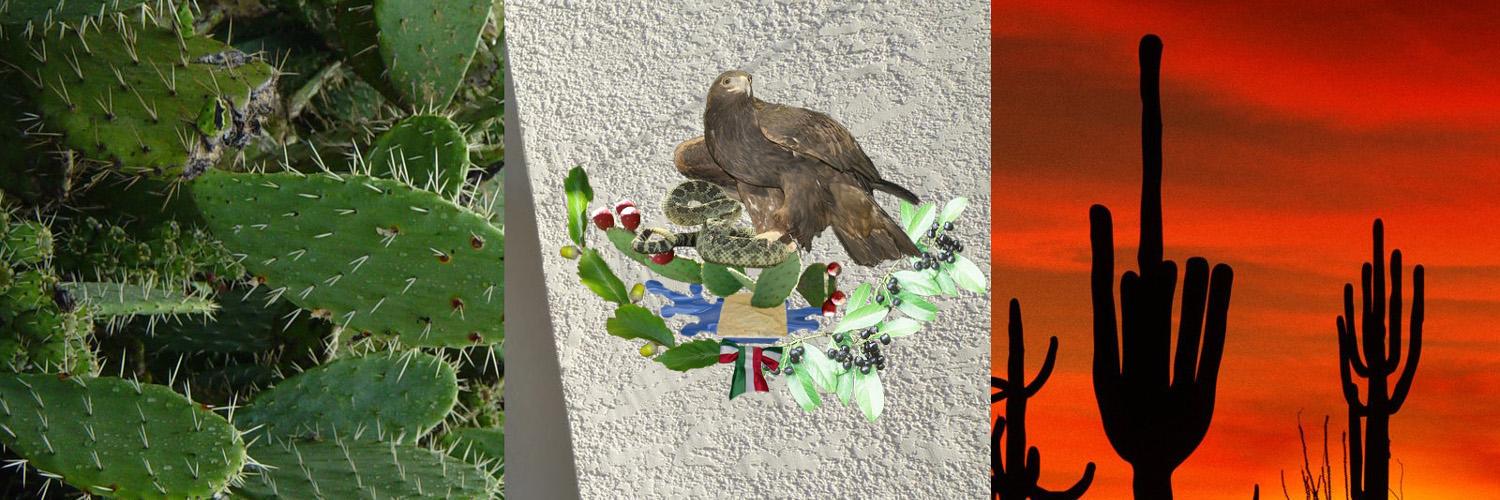411Mexico's profile banner image