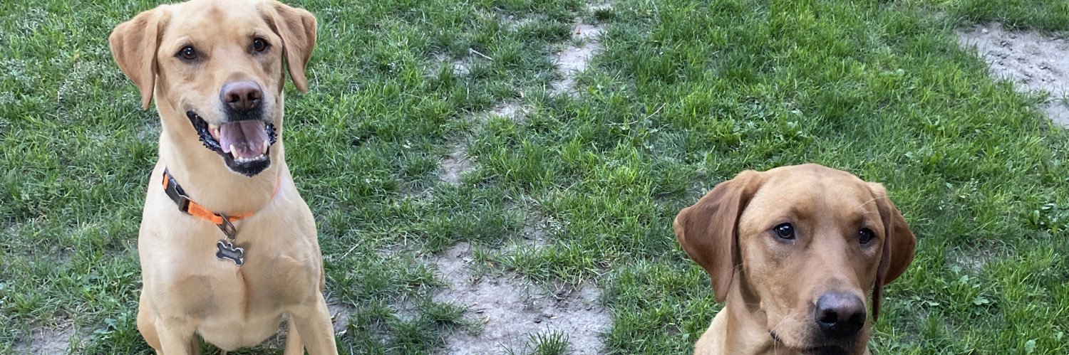 parkwill10's profile banner image