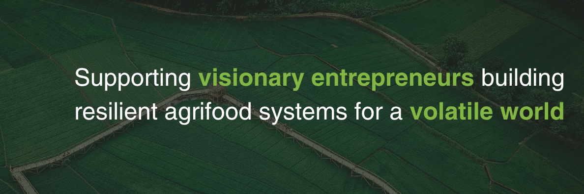 omnivore_vc's profile banner image