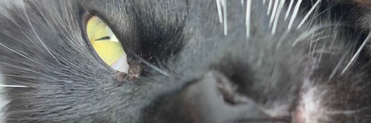 kylejohnsoon's profile banner image