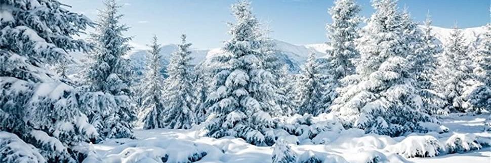 AFrozenSnowMan's profile banner image