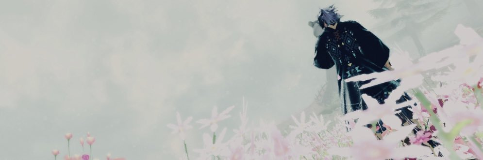 miopurinn's profile banner image