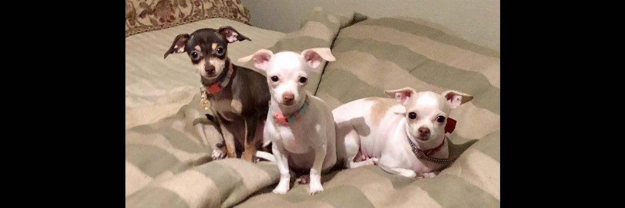 Aquarius Solrac banner