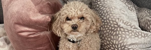 botleigh_ Profile Banner