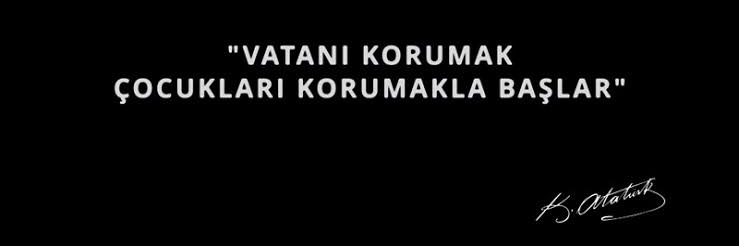 Özge 🐞's banner