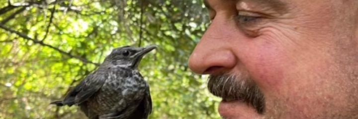 ftmglbll's profile banner image