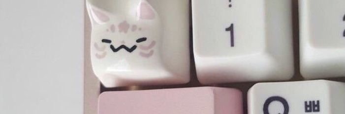 panzoneless's profile banner image