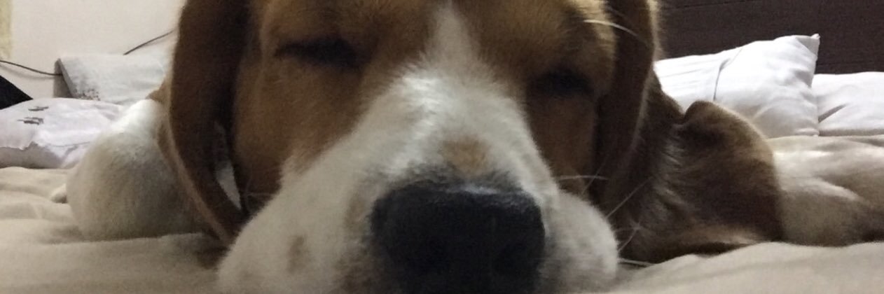 adityamsnarwal's profile banner image