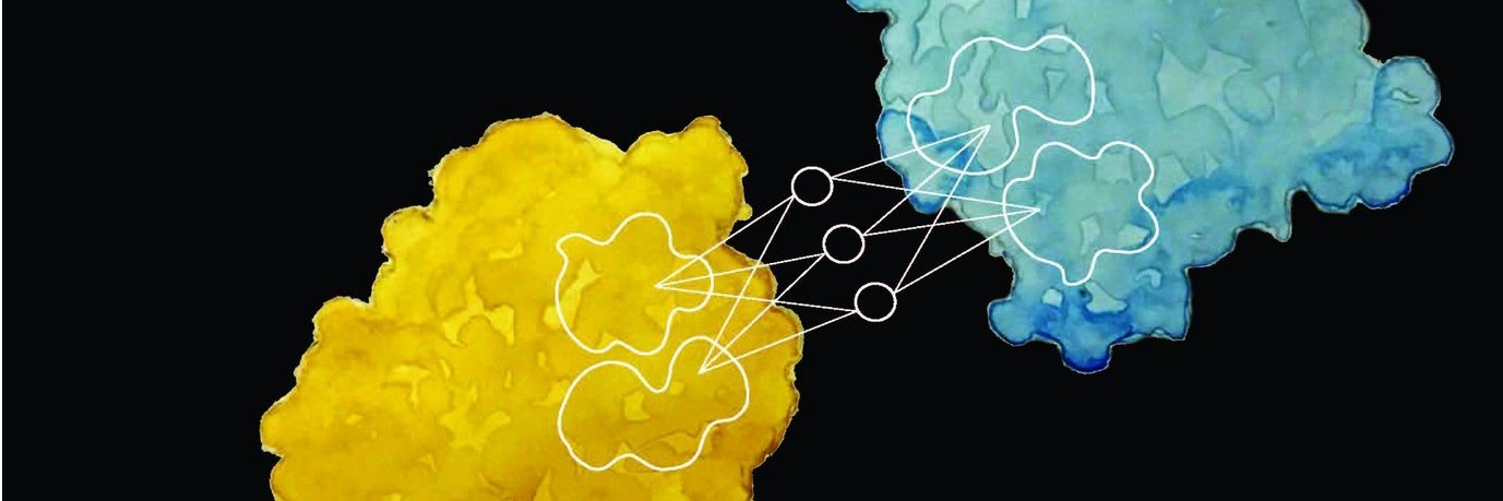 EPFL Institute of Bioengineering banner