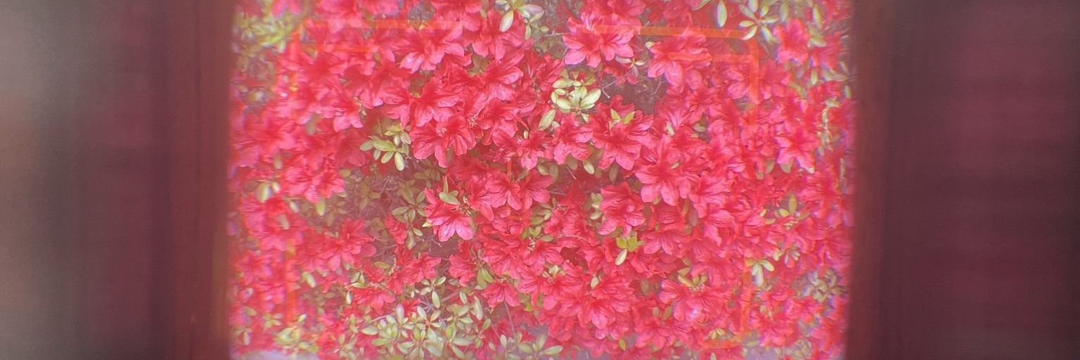 . banner