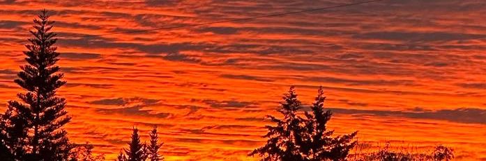 EDGAR_CUELLAR's profile banner image