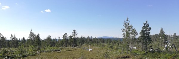 spoton_fluxes Profile Banner