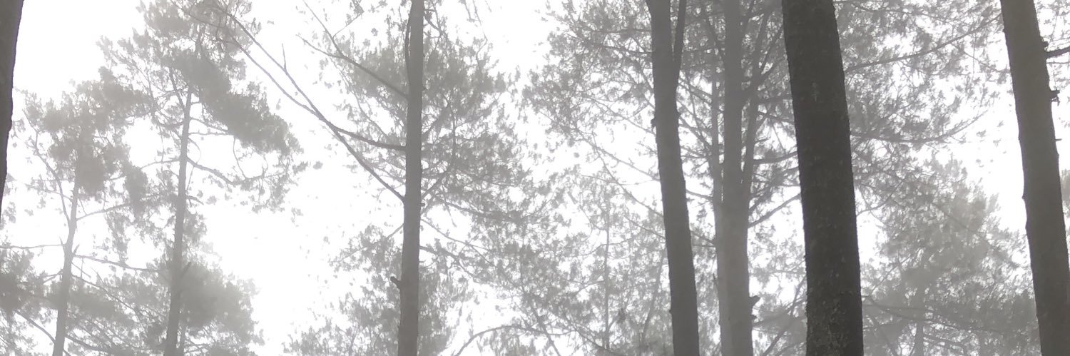 dwinasution21's profile banner image