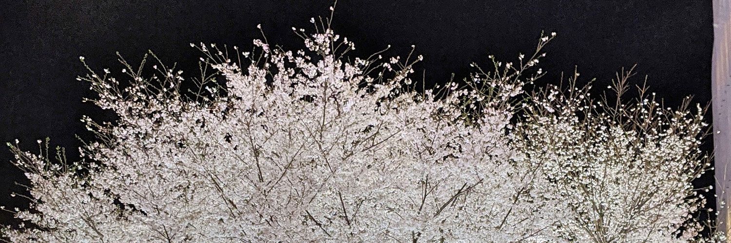 sho____ren's profile banner image