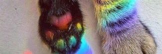 givemelov7's profile banner image