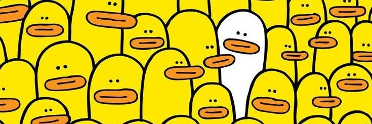 cescapi's profile banner image