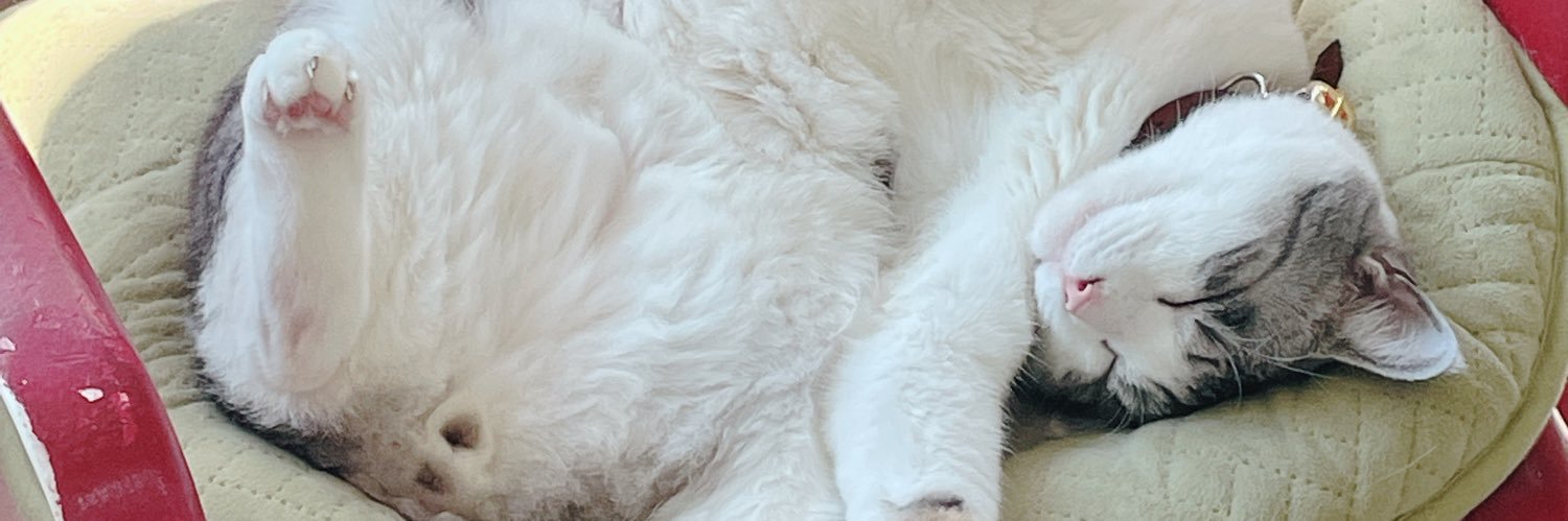 ちりめん工房ジャコデス banner