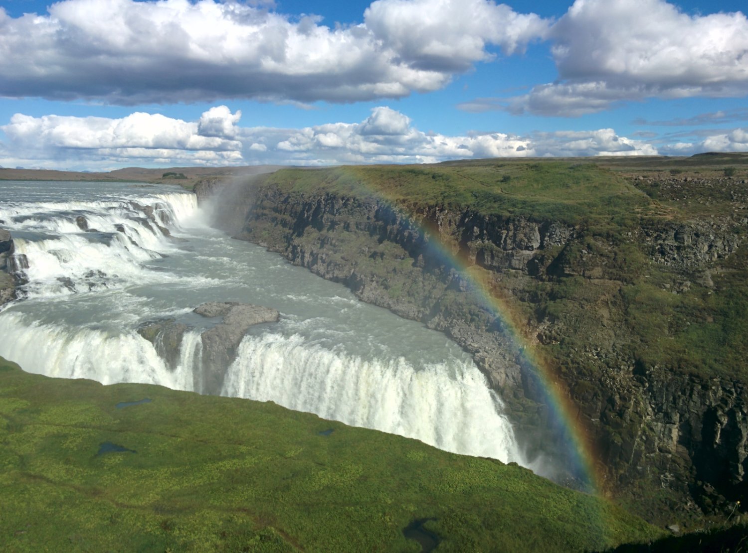 Aviv Netanyahu banner