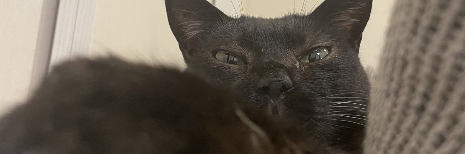 mugitanyanko's profile banner image