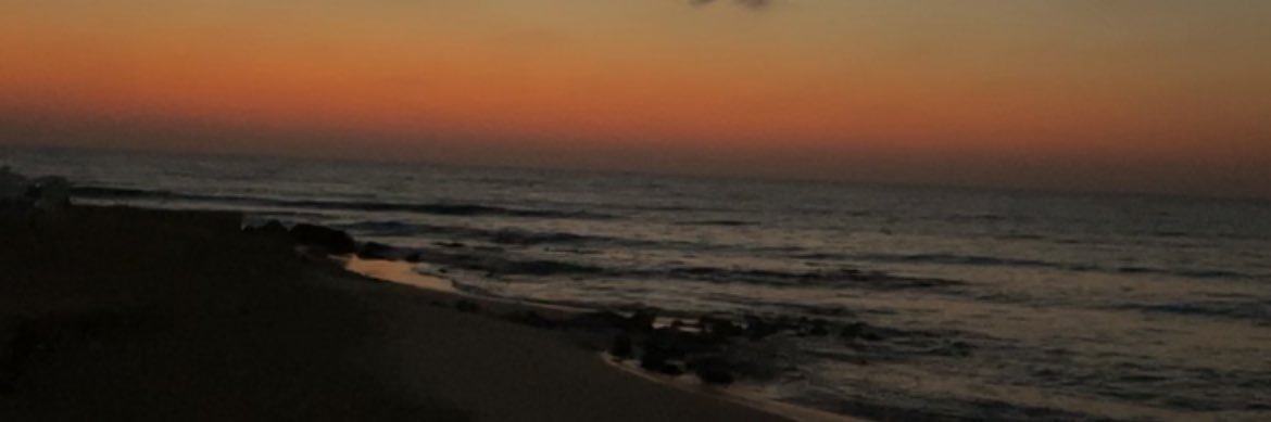 hanonatweets's profile banner image