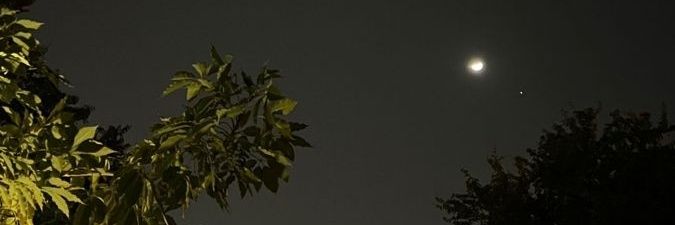 BLUVMT's profile banner image