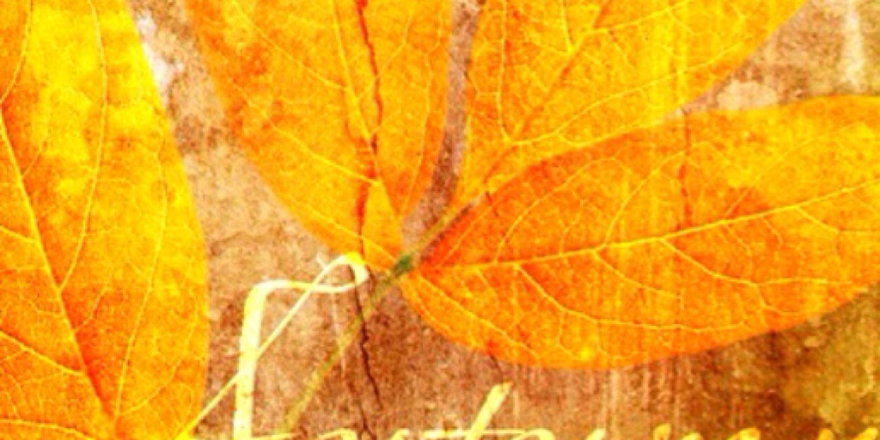 Vero304's profile banner image