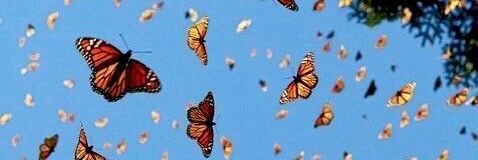 ♥ JOH ♥ banner