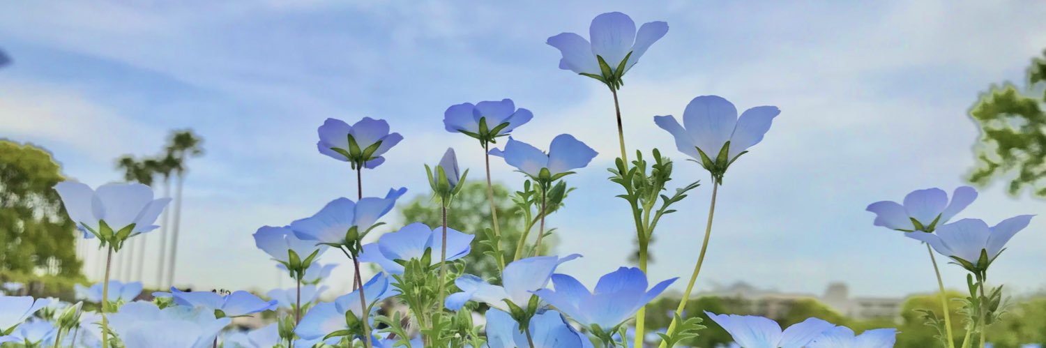 aimrednu2424's profile banner image