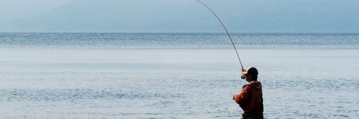 swing175 banner