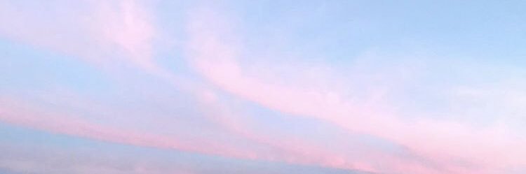 Oink banner