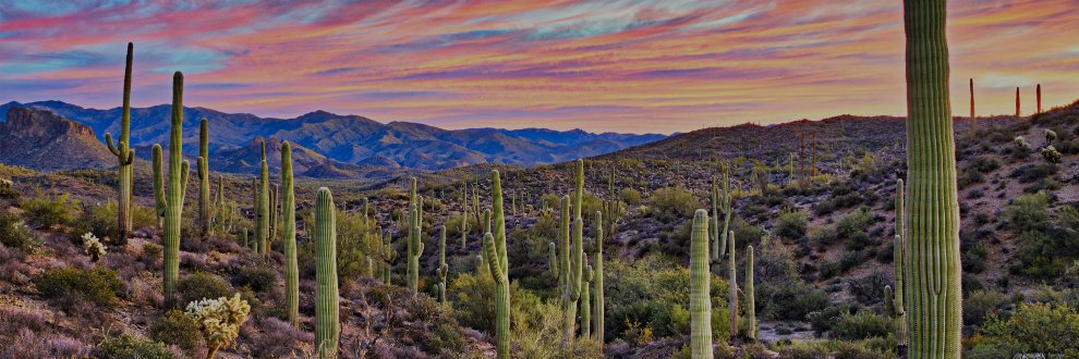 Pinal County Republican Committee banner