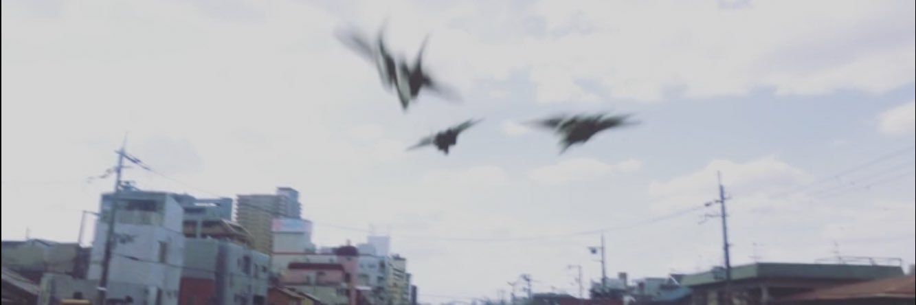 Ray806's profile banner image