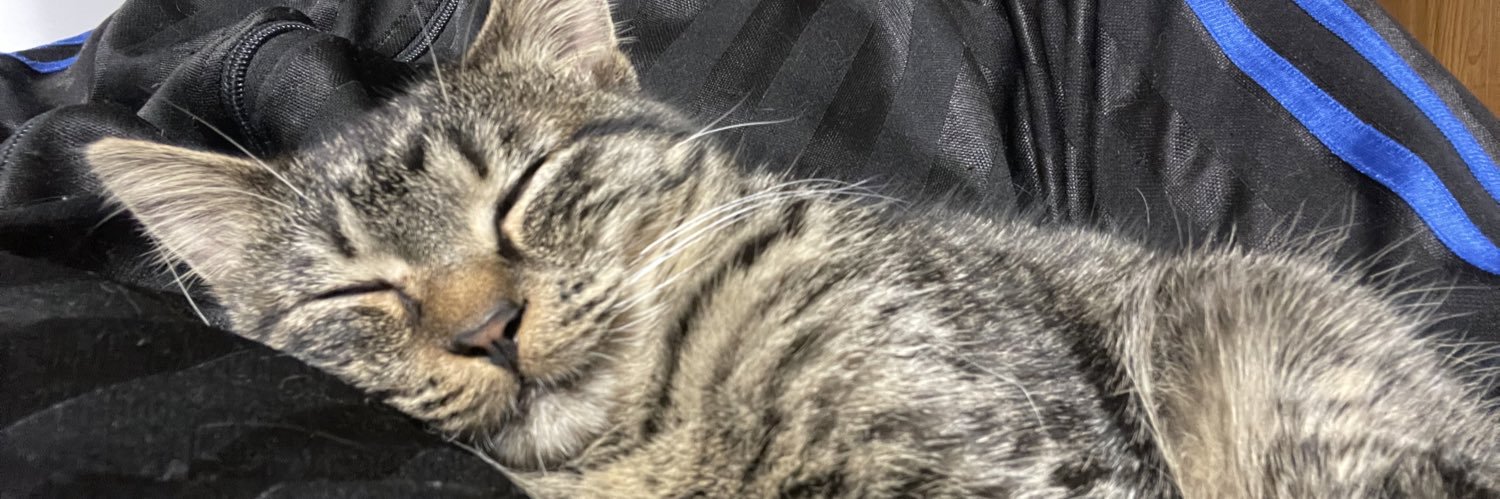 m_dango's profile banner image
