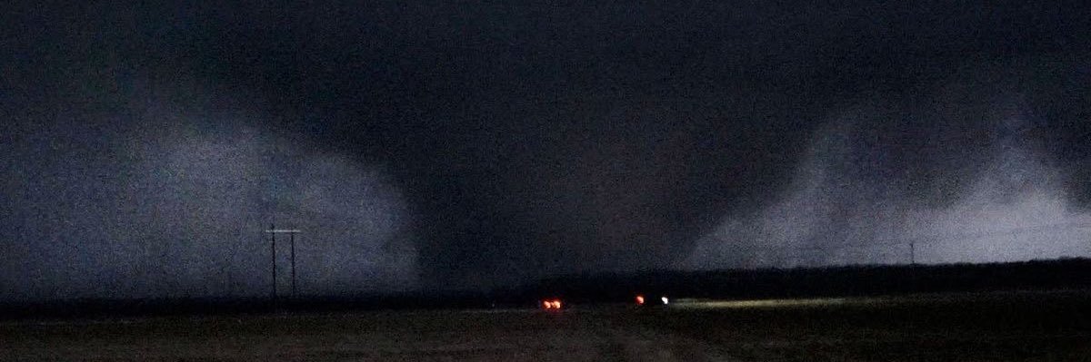 𓆩flutter𓆪 banner