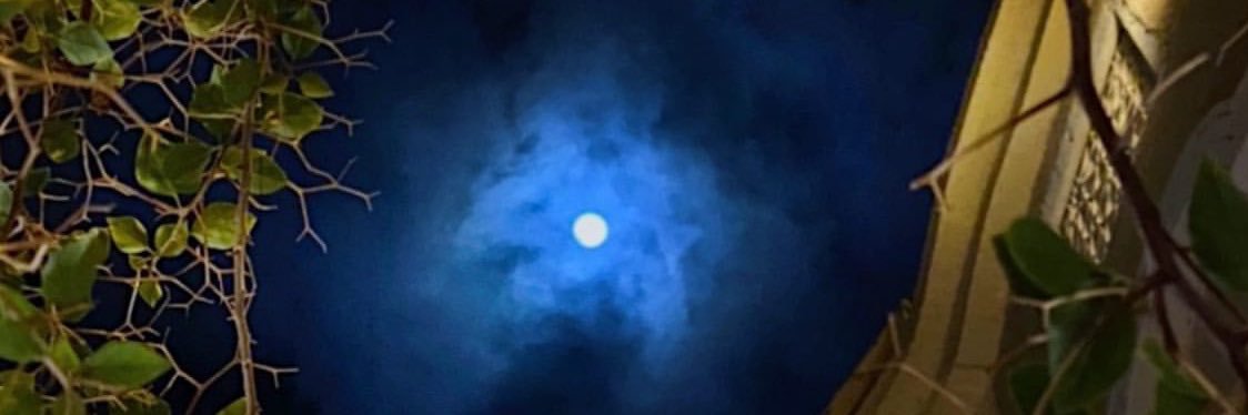 LleyndaaRahaf's profile banner image