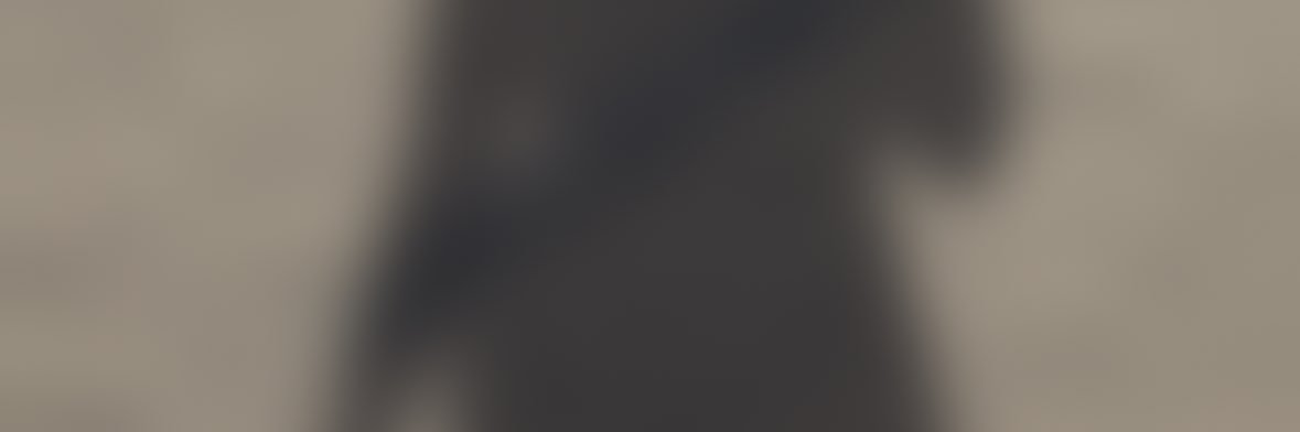 lv_407's profile banner image