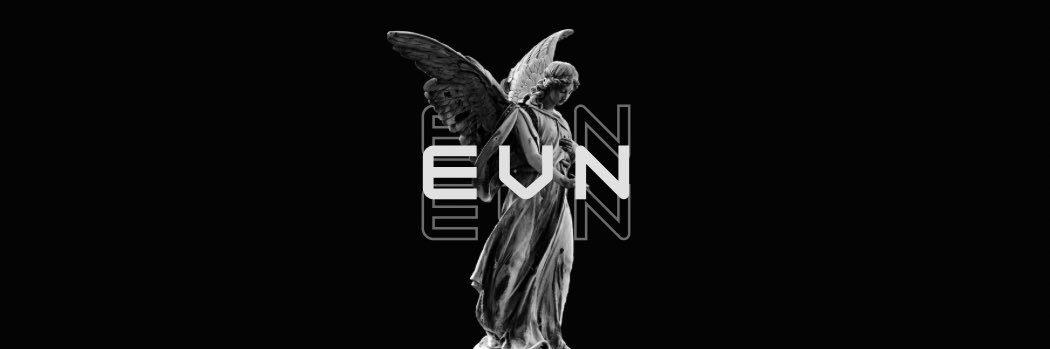 Evn banner