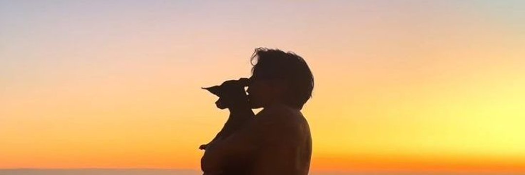 NORA ✨ dreamer ✨ banner