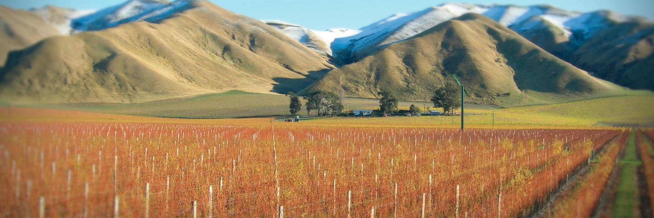 Stanley Estates banner
