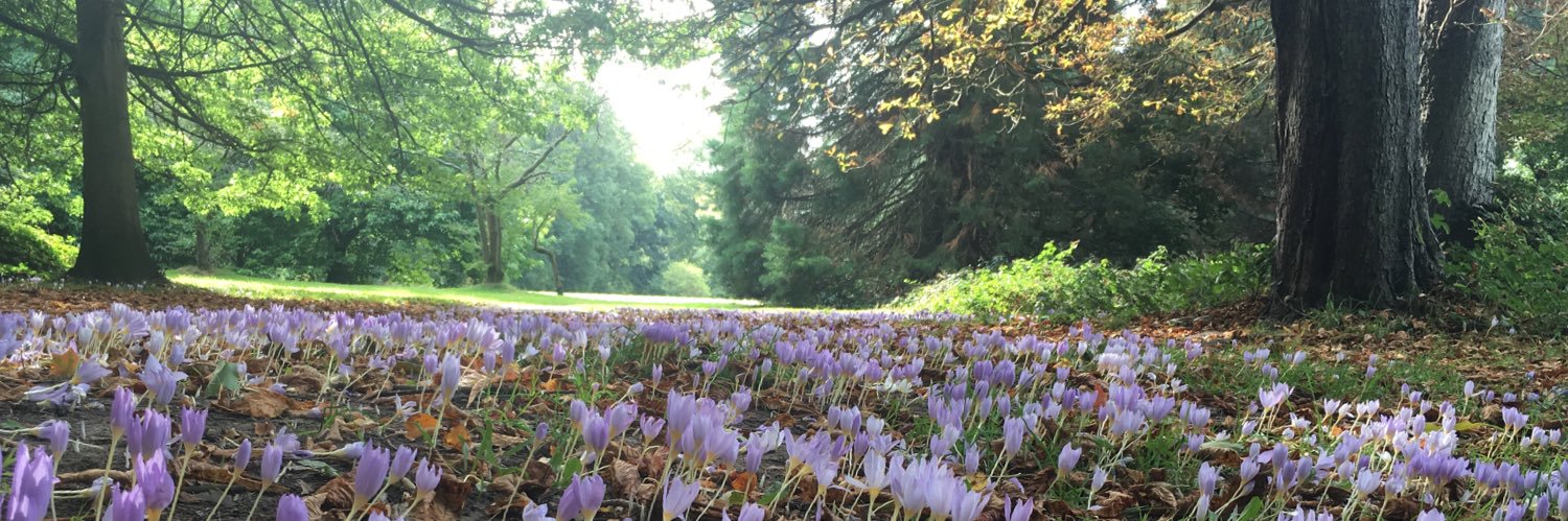 Elizabeth Starks banner