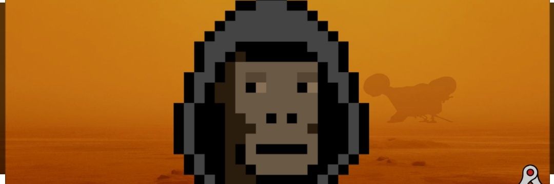 mrn0b0dy.base.eth $DROPEE banner