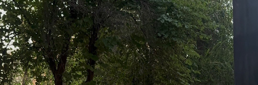 jay banner