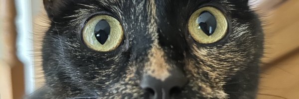 korokleafs Profile Banner