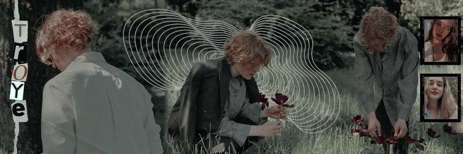 ‍ ‍ ‍ ‍ ‍،،̲ 𝗧𝗋𝗈𝗒𝖾｡ banner