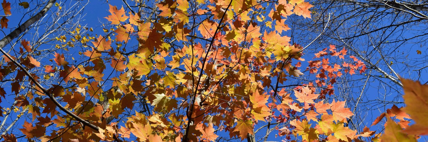 Will Stockdale banner